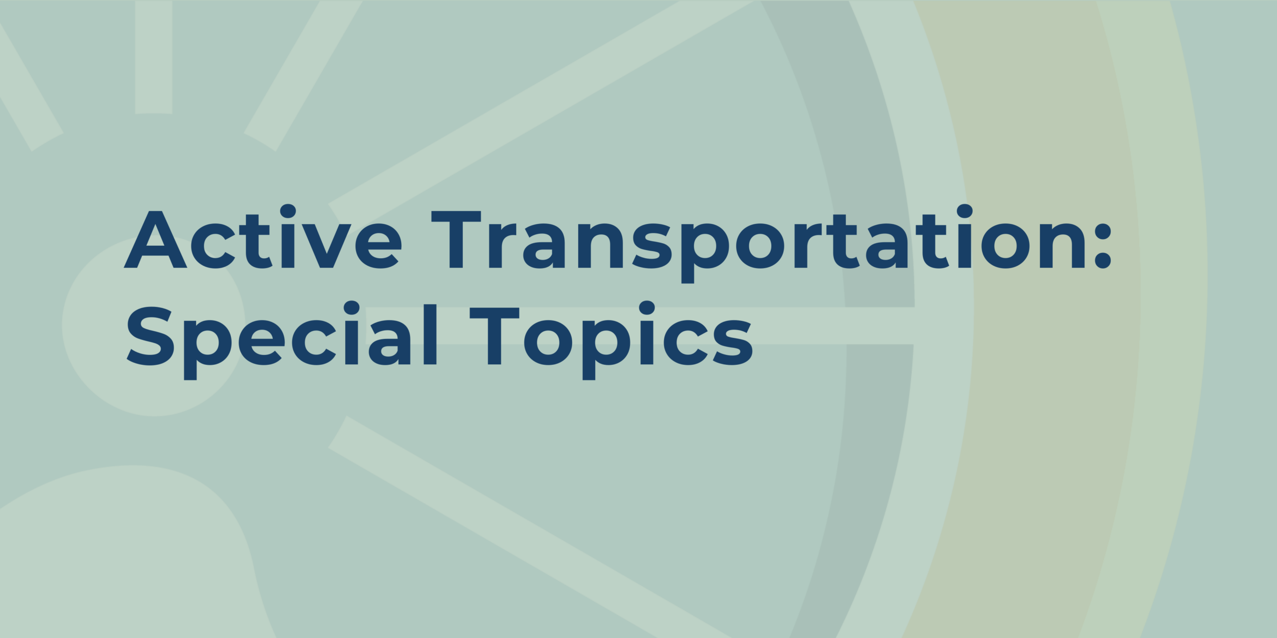 Active Transportation Special Topics